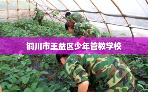 铜川市王益区少年管教学校