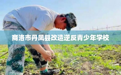 商洛市丹凤县改造逆反青少年学校