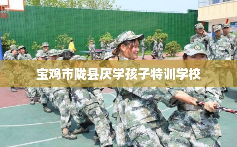 宝鸡市陇县厌学孩子特训学校