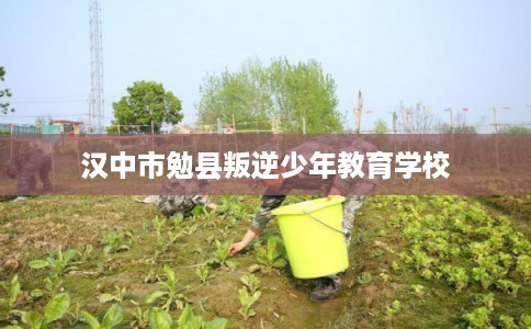 汉中市勉县叛逆少年教育学校