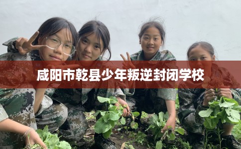 咸阳市乾县少年叛逆封闭学校