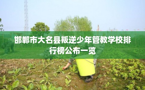 邯郸市大名县叛逆少年管教学校排行榜公布一览 邯郸市大名县叛逆少年管教学校排行榜公布一览