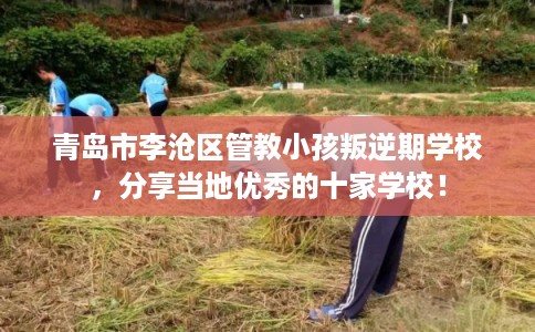 青岛市李沧区管教小孩叛逆期学校,分享当地优秀的十家学校! 青岛市李沧区管教小孩叛逆期学校,分享当地优秀的十家学校!