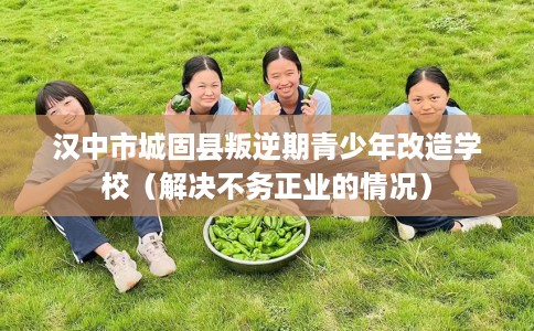 汉中市城固县叛逆期青少年改造学校(解决不务正业的情况)