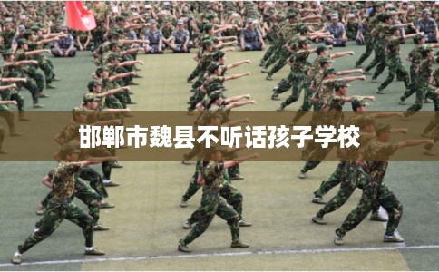 邯郸市魏县不听话孩子学校 邯郸市魏县不听话孩子学校