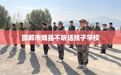 邯郸市魏县不听话孩子学校 邯郸市魏县不听话孩子学校