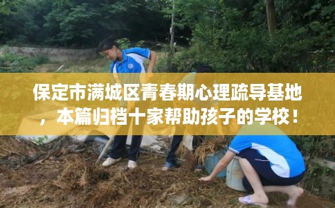 保定市满城区青春期心理疏导基地，本篇归档十家帮助孩子的学校！