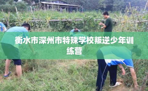 衡水市深州市特殊学校叛逆少年训练营