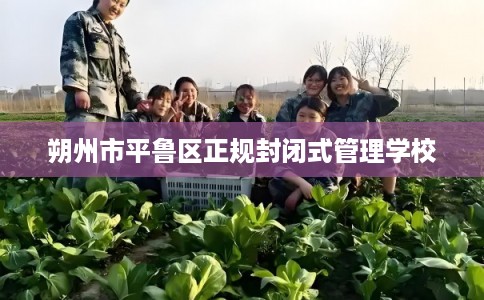 朔州市平鲁区正规封闭式管理学校 朔州市平鲁区正规封闭式管理学校