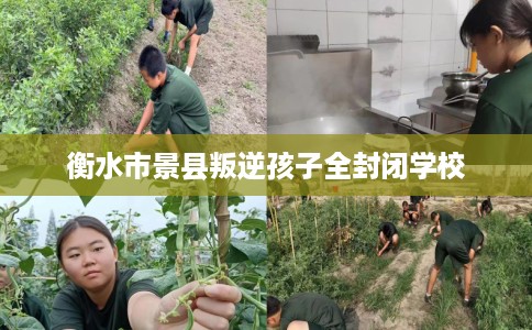衡水市景县叛逆孩子全封闭学校 衡水市景县叛逆孩子全封闭学校