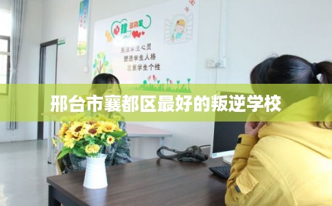 邢台市襄都区最好的叛逆学校