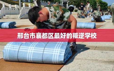 邢台市襄都区最好的叛逆学校