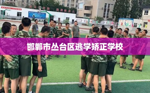 邯郸市丛台区逃学矫正学校