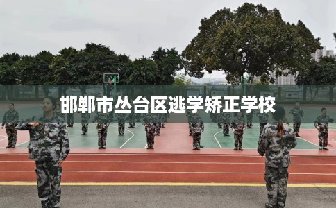 邯郸市丛台区逃学矫正学校
