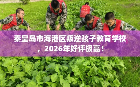 秦皇岛市海港区叛逆孩子教育学校，2026年好评极高！
