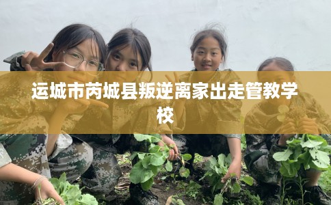 运城市芮城县叛逆离家出走管教学校 运城市芮城县叛逆离家出走管教学校