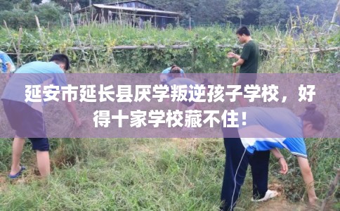 延安市延长县厌学叛逆孩子学校，好得十家学校藏不住！