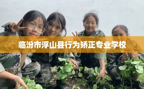 临汾市浮山县行为矫正专业学校