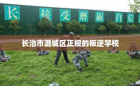 长治市潞城区正规的叛逆学校 长治市潞城区正规的叛逆学校