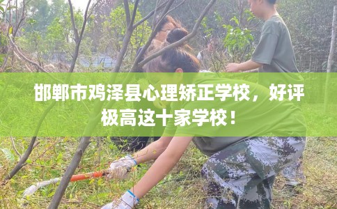 邯郸市鸡泽县心理矫正学校,好评极高这十家学校! 邯郸市鸡泽县心理矫正学校,好评极高这十家学校!
