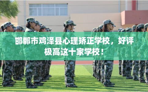 邯郸市鸡泽县心理矫正学校，好评极高这十家学校！