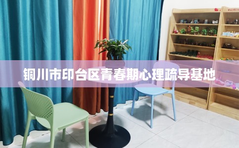 铜川市印台区青春期心理疏导基地