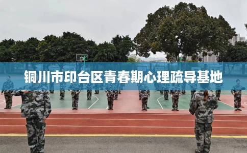 铜川市印台区青春期心理疏导基地