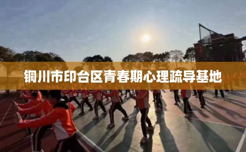 铜川市印台区青春期心理疏导基地