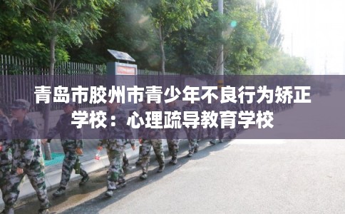 青岛市胶州市青少年不良行为矫正学校:心理疏导教育学校 青岛市胶州市青少年不良行为矫正学校:心理疏导教育学校