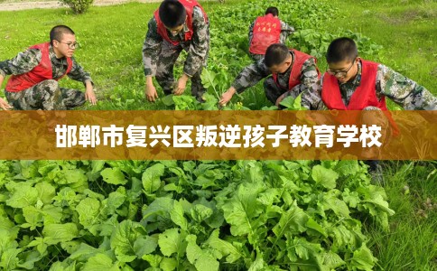 邯郸市复兴区叛逆孩子教育学校