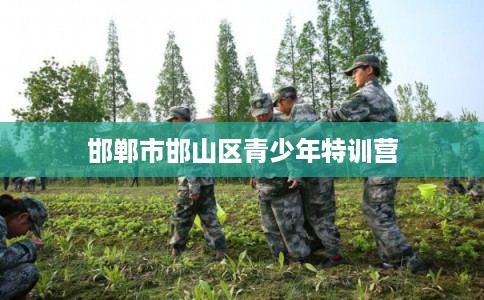 邯郸市邯山区青少年特训营