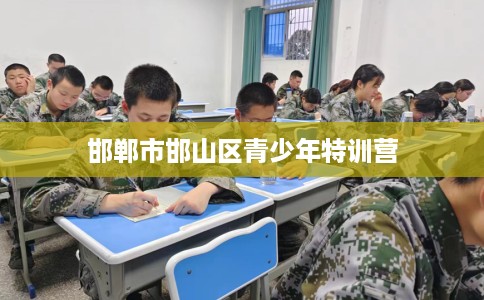 邯郸市邯山区青少年特训营