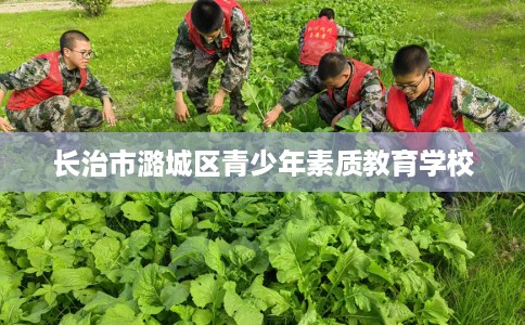 长治市潞城区青少年素质教育学校