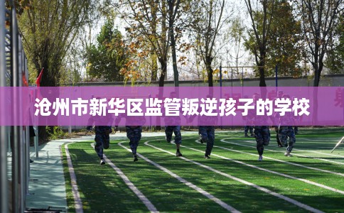 沧州市新华区监管叛逆孩子的学校 沧州市新华区监管叛逆孩子的学校