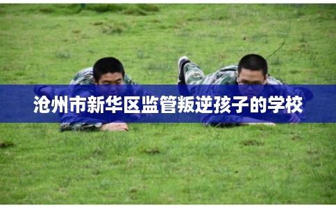 沧州市新华区监管叛逆孩子的学校 沧州市新华区监管叛逆孩子的学校