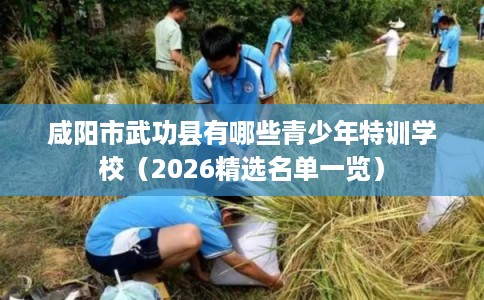 咸阳市武功县有哪些青少年特训学校(2026精选名单一览) 咸阳市武功县有哪些青少年特训学校(2026精选名单一览)