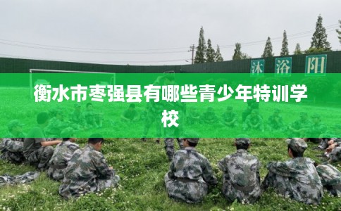 衡水市枣强县有哪些青少年特训学校 衡水市枣强县有哪些青少年特训学校