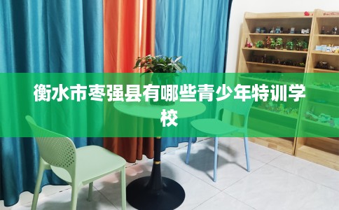 衡水市枣强县有哪些青少年特训学校