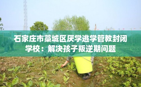 石家庄市藁城区厌学逃学管教封闭学校：解决孩子叛逆期问题
