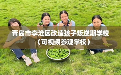 青岛市李沧区改造孩子叛逆期学校(可视频参观学校) 青岛市李沧区改造孩子叛逆期学校(可视频参观学校)