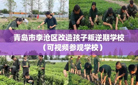 青岛市李沧区改造孩子叛逆期学校(可视频参观学校) 青岛市李沧区改造孩子叛逆期学校(可视频参观学校)