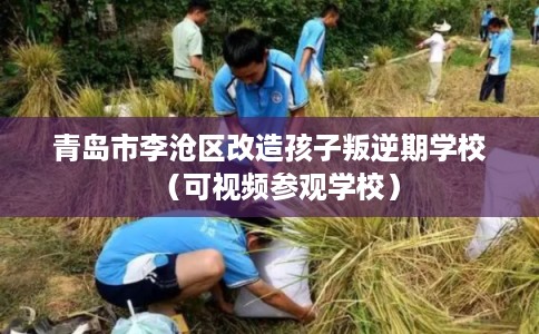 青岛市李沧区改造孩子叛逆期学校(可视频参观学校) 青岛市李沧区改造孩子叛逆期学校(可视频参观学校)
