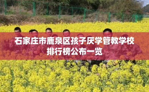 石家庄市鹿泉区孩子厌学管教学校排行榜公布一览 石家庄市鹿泉区孩子厌学管教学校排行榜公布一览