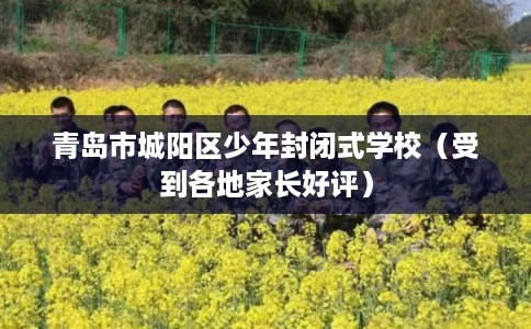 青岛市城阳区少年封闭式学校(受到各地家长好评) 青岛市城阳区少年封闭式学校(受到各地家长好评)