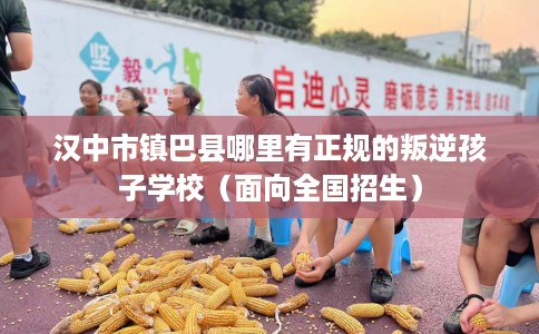汉中市镇巴县哪里有正规的叛逆孩子学校(面向全国招生) 汉中市镇巴县哪里有正规的叛逆孩子学校(面向全国招生)