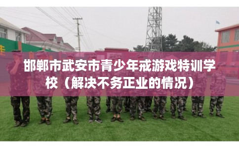 邯郸市武安市青少年戒游戏特训学校(解决不务正业的情况) 邯郸市武安市青少年戒游戏特训学校(解决不务正业的情况)