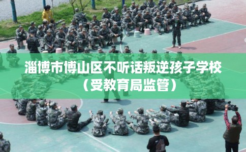淄博市博山区不听话叛逆孩子学校(受教育局监管) 淄博市博山区不听话叛逆孩子学校(受教育局监管)