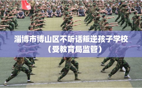 淄博市博山区不听话叛逆孩子学校(受教育局监管) 淄博市博山区不听话叛逆孩子学校(受教育局监管)