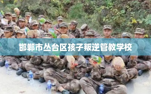 邯郸市丛台区孩子叛逆管教学校 邯郸市丛台区孩子叛逆管教学校