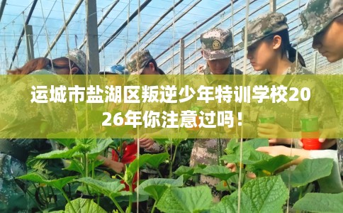 运城市盐湖区叛逆少年特训学校2026年你注意过吗！